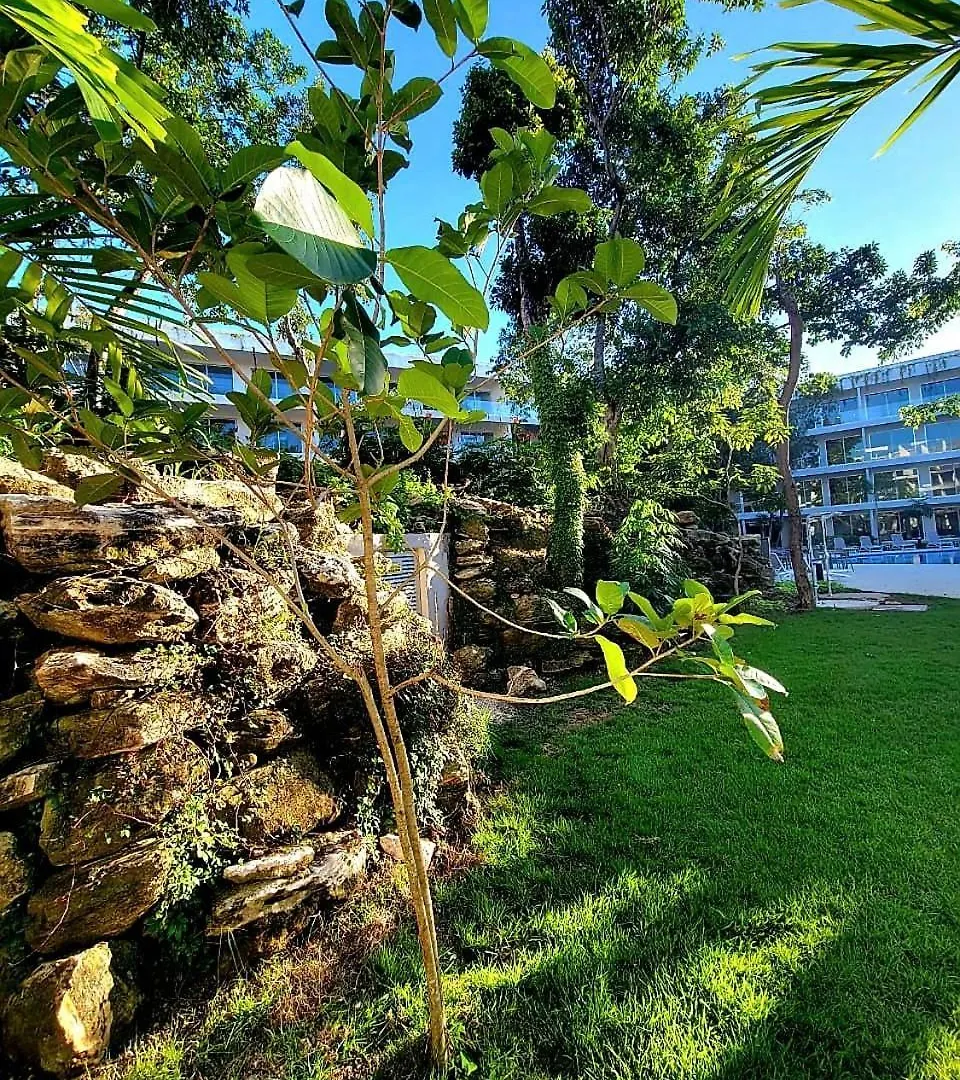 Modern Playacar Condo With Poolside Views & Nature Playa del Carmen